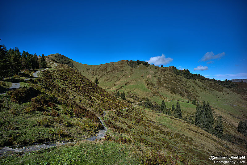 Bernhard Saalfeld - Riedberger Horn (1v9)